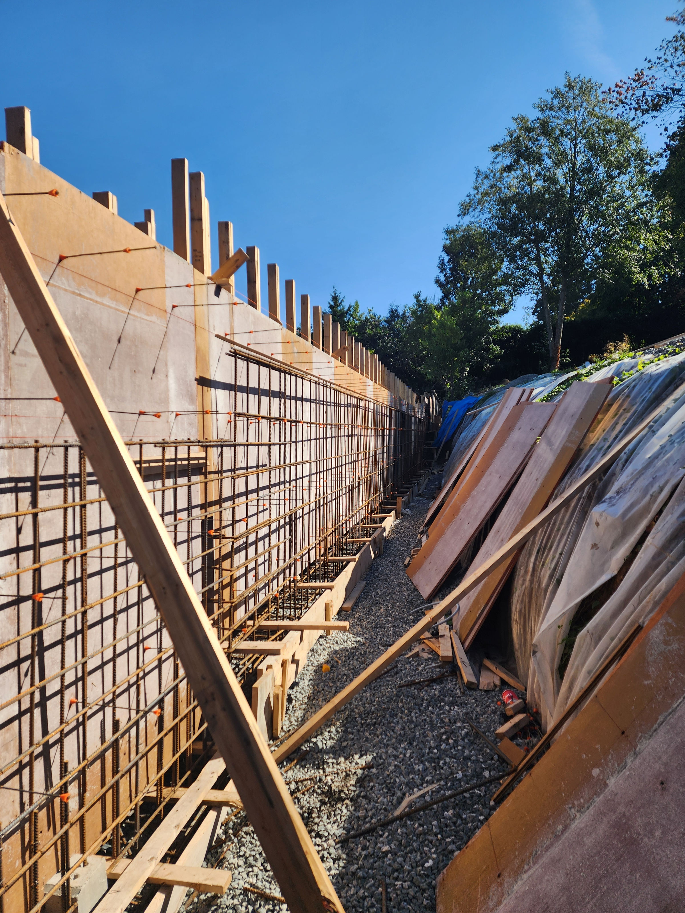 Belmont Ave, Vancouver project photo 3